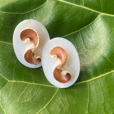 Vintage Seashell Earrings Clip On Oval Shape 