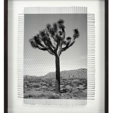 Framed Art - KARMA TREE 3