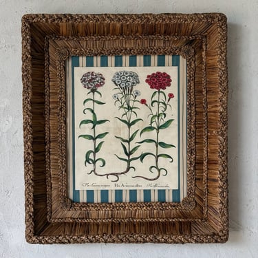 17th C. Hand Colored Besler Engraving of Frittillaria in Gusto Woven Frame  I