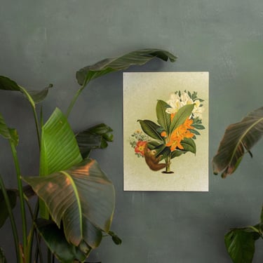 Art Print - Mr. Sloth & The Lily Palm 