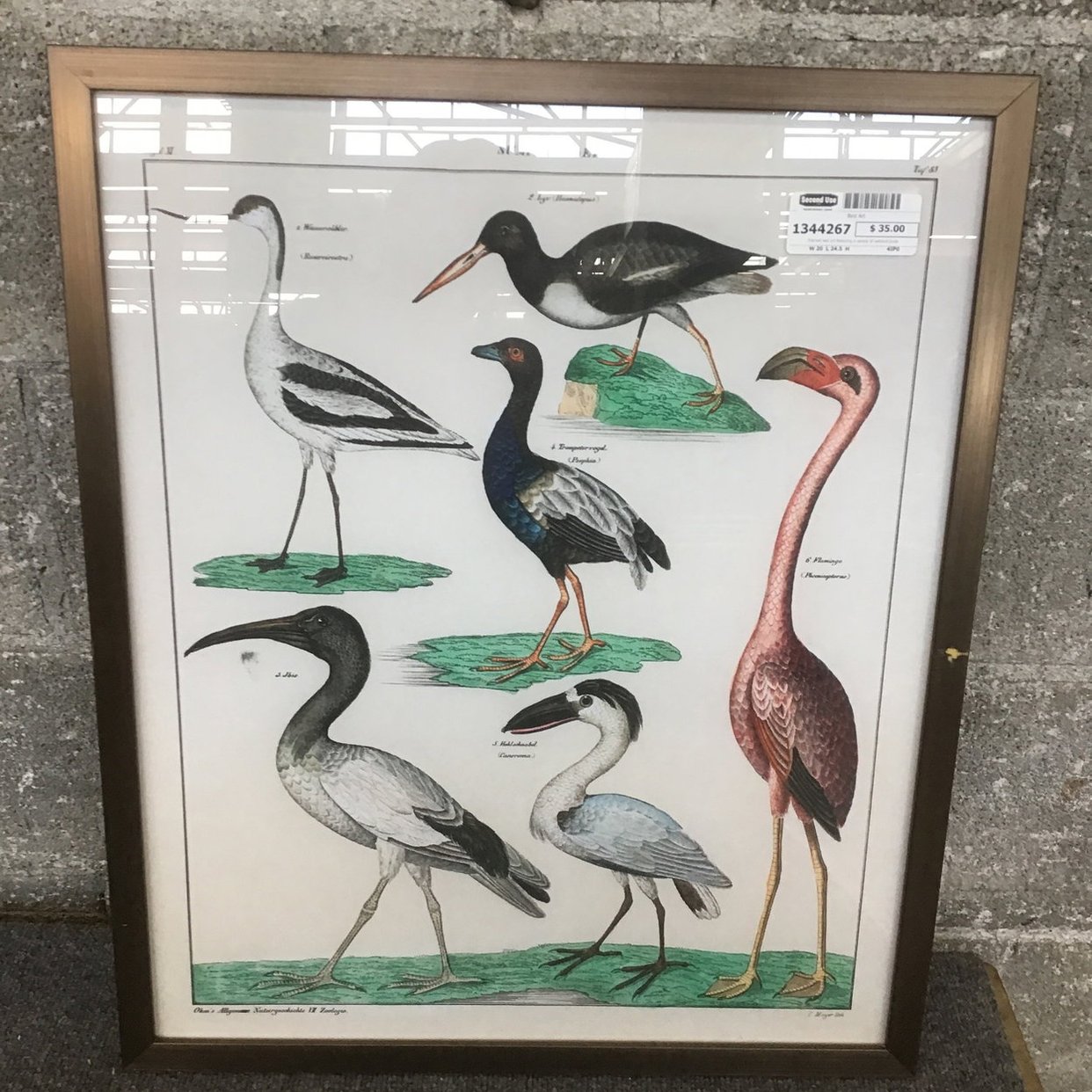 Bird Art (Seattle) | Second Use - Seattle and Tacoma, WA | ATTIC