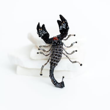 Indian Black Scorpion Embroidered Pin