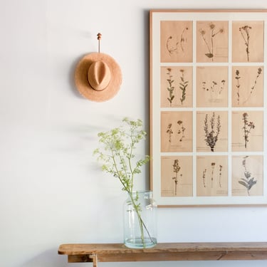 Framed Vintage Botanical Specimen