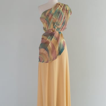Fab 1970's Painted Desert Boho Maxi Dress By Joy Stevens / Medium