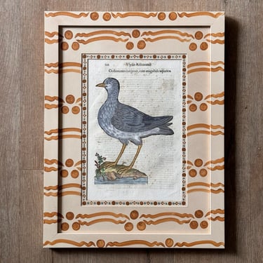 Aldrovandi Hand-Colored Bird Engravings in Gusto Painted Frame and Mat X