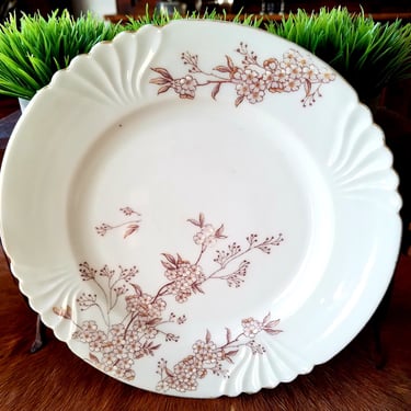 Set of 6 Antique Carlsbad China Austria Plates + 1 Square Karlsbad BBD Serving Platter Floral Porcelain Plates Embossed~JewelsandMetals 