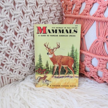 Vintage Mammals Golden Guide Book - A Guide to Familiar American Species - Paperback 1955 Edition 