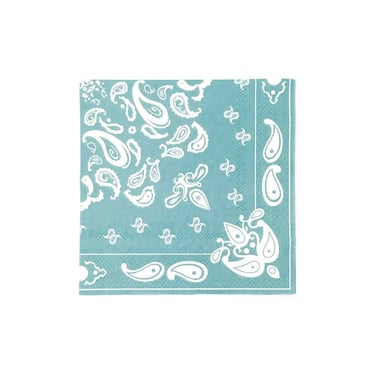 PW Dusty Turquoise Cocktail Napkins