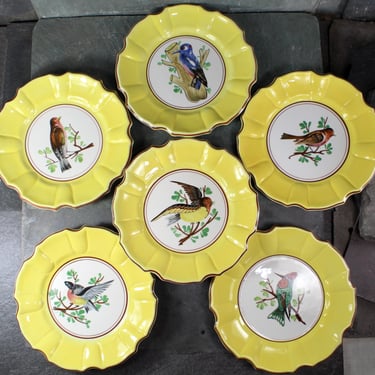 Italian Majolica Bird Salad Plate | Five Different Designs | 8