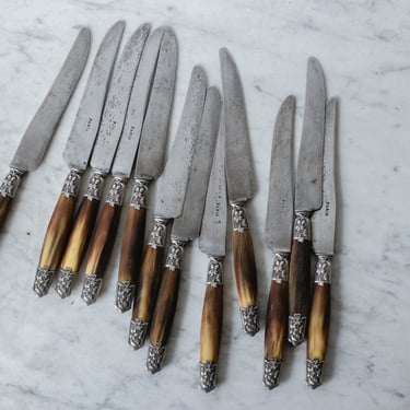 Horn Handled French Knife with Stamped Paris Blades Set of 12