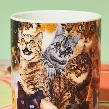 Crazy Cat Mug
