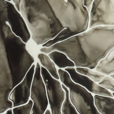 Black Pyramidal Neuron - original ink painting on yupo of brain cell - neuroscience art 