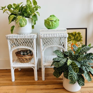White Wicker Plant Stands
