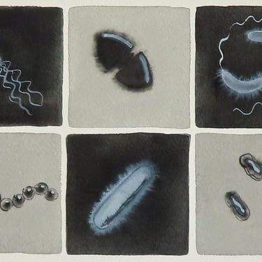 Black and White Bacteria - original watercolor painting of microbes - microbiology art 