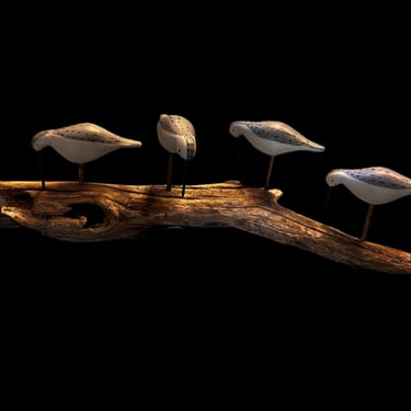 Sandpipers on Driftwood