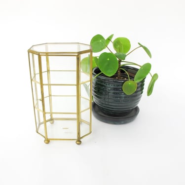 NEW - Three Tier Glass and Brass Box Display Cabinet or Terrarium 