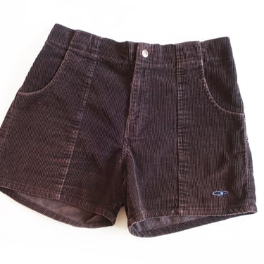 vintage OP shorts / corduroy shorts / 1990s brown corduroy OP shorts elastic surf shorts Medium 