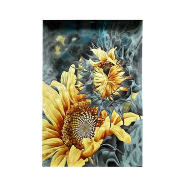 Large Rectangular Sun Flower Motif Graphic Wool Rug Carpet cs7529E 
