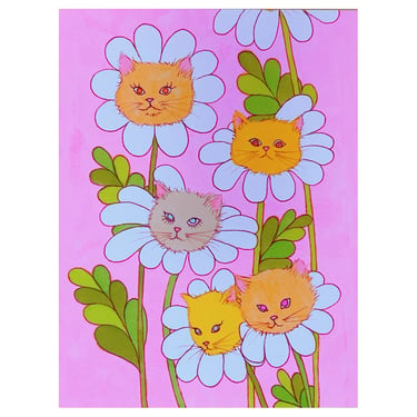 Crazy for Cat Daisies