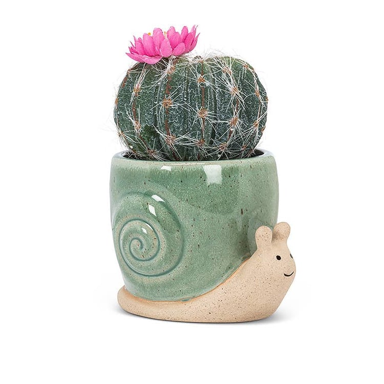 Xs Crawling Snail Planter-Turq-3.5&quot;L