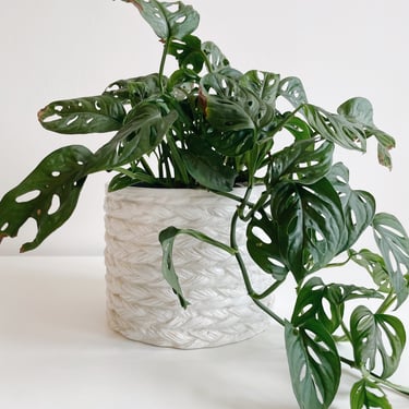 White Braided Planter Made in Italy