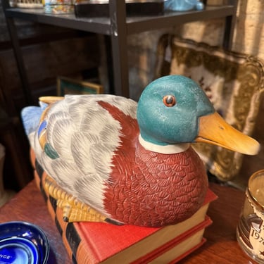 Mallard Duck