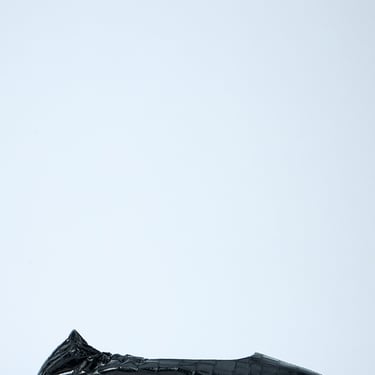 Dries Van Noten Women Croc-Embossed Ballerina Flats