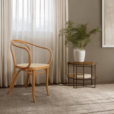 Vintage Dining Armchair Le Corbusier, Thonet, and Viennese Bentwood Chairs, fully restored 