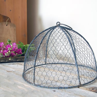 Vintage chicken wire cloche / wire mesh plant dome / metal cage garden protector / chicken wire lamp shade /  farmhouse decor / garden decor 