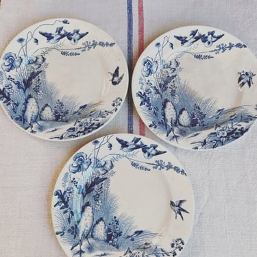 Beautiful rare find antique French ironstone plates with birds 