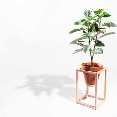 Frame Planter - Tall