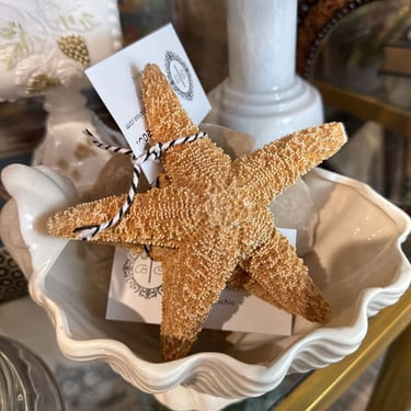 Small Starfish