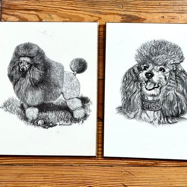 Vintage Poodle Art Prints On Wooden Board Earl Sherman Mid Century Wall Art 1950s 1960s Dogs Black and White Dwlrawing 