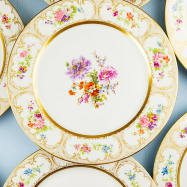 Antique Limoges Floral Dinner Plates - Set of 8