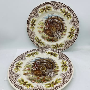 Set of (2) Victorian English Pottery-Royal Stafford Homeland Dinner Plates Thanksgiving- 11
