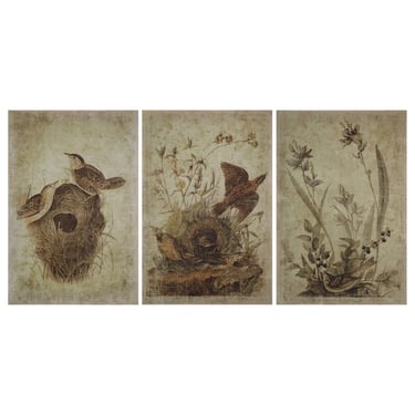 Botanical Bird Wall Art, multiple styles