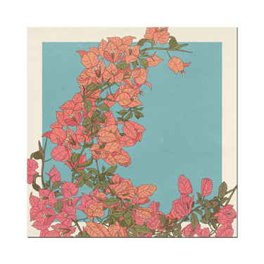 Print | Bougainvillea