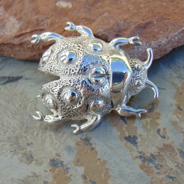 D'Molina ~ Mexican Sterling Silver Detailed Beetle Bug Pin / Brooch 