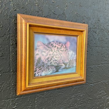 Sleeping Baby Leopard Framed Photo