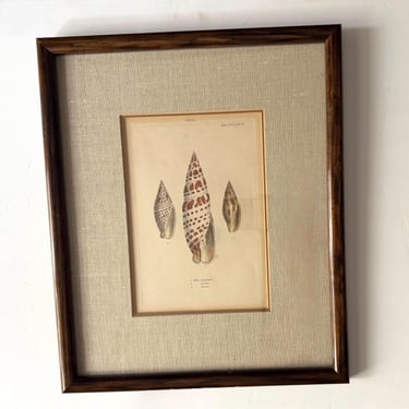 19th Century Framed Shell Engraving 
