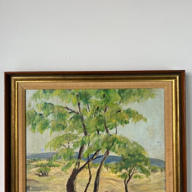 1960's Vintage Impressionist Plain Air Tree Landscape Oil Painting , Framed 