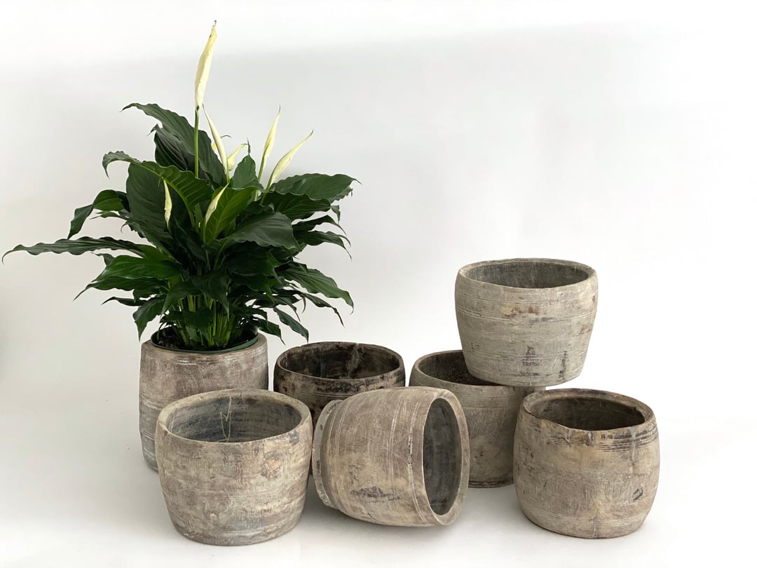 Rustic Bleached Wood Planter Vessel Farmhouse Decor Ballyhoo Design