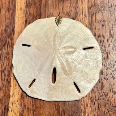 Natural Sand Dollar Pendant Ocean Sea Life Fossil Nature Natural Jewelry Gift Unisex Gender Neutral 