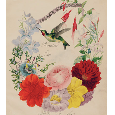 Flora's Dictionary (Hummingbirds) (p 262) Book Page 11 x 14&quot; Rect. Tray