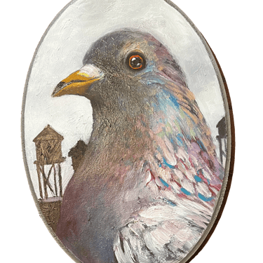 "Quentin" Pigeon