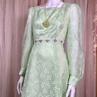 1960's Romantic Daisy Formal Gown
