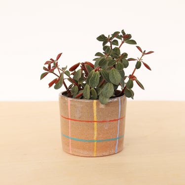 Colorful Ceramic Planter | Cactus Pot with Drainage  | Indoor Succulent Planter 
