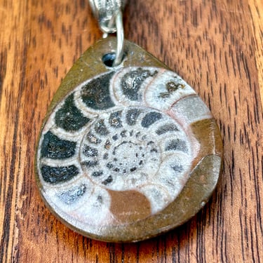 Ammonite Fossil Pendant Natural Jewelry Healing Crystal 