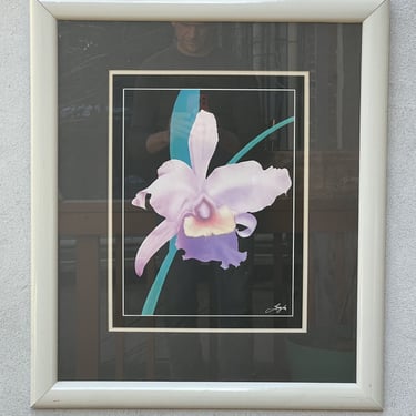 White Framed Black Matte Pink and Green Iris Wall Art, 1980s 