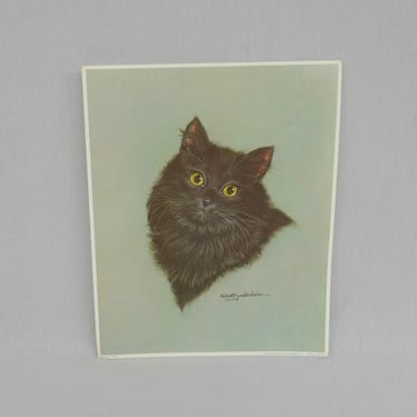 Vintage Black Cat Print - Bright Eyes - Long Haired, Maybe Persian? - Robert Guzman Forbes - 8